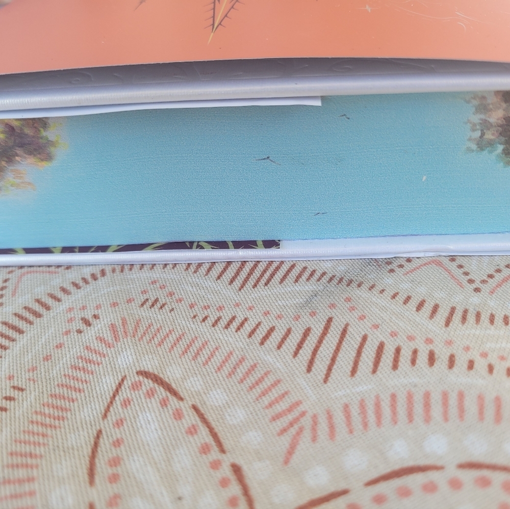 Brand New Special Edition Thorn Season Hardcover Book With Painted Edges - Picture 7 of 10